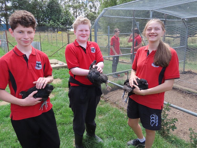 Students holding chickens